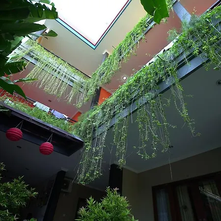 Rena Segara House Kuta-3