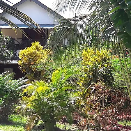 African Dream Cottages - Diani Beach-3
