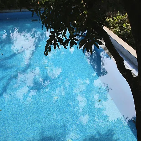 Luxurious 2Bhk For Ultimate Holiday Experience In Goa - 2-2