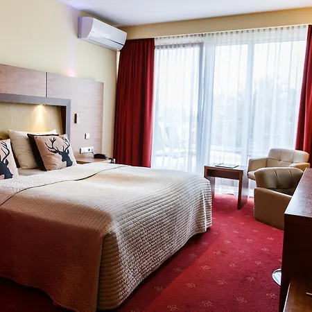 Hotel Salzburg Airport-2
