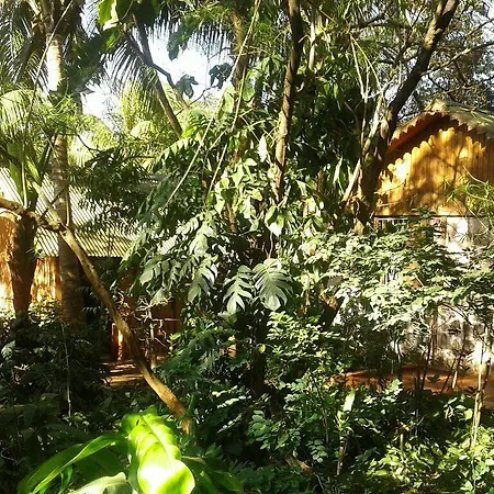 Le Village Diego-3