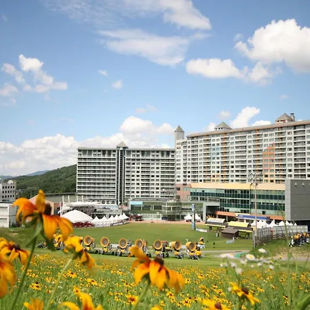 Wellihilli Park Resort-2
