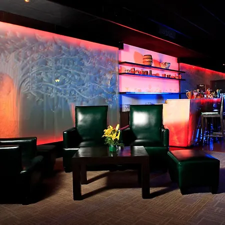 Ellaa Hotel Gachibowli-3