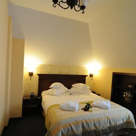 Hotel Foisorul Cu Flori-3