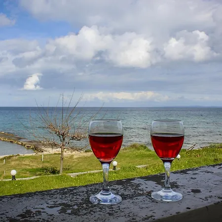 Pelagion Sea Coral - Beachfront Holiday Home-2