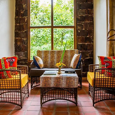 Ichumbi Gorilla Lodge-2