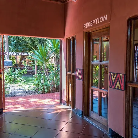 Okavango Lodge-3
