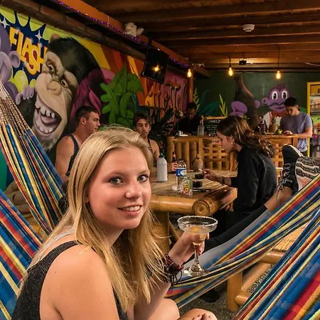 Purple Monkey Hostel-3
