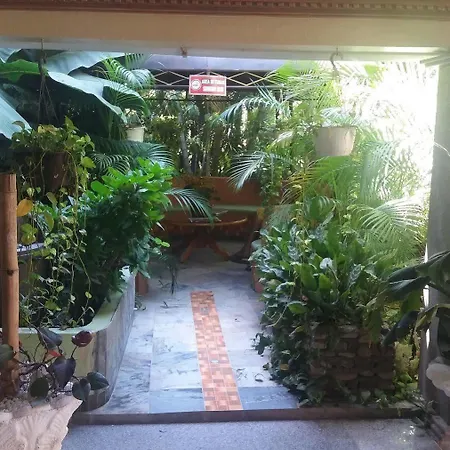 Mountain View Hotel-2
