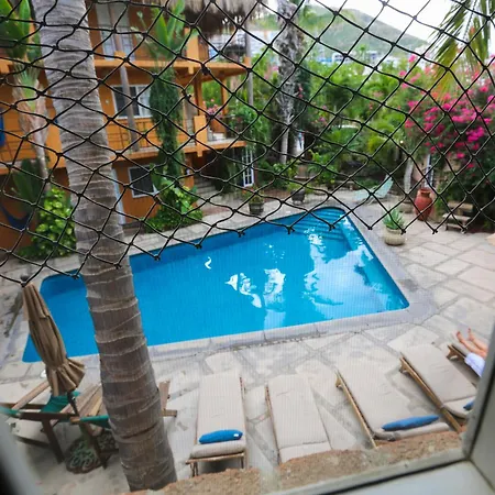 The Bungalows Hotel-3