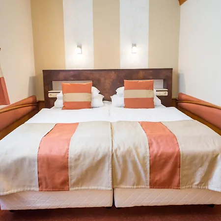 Hotel Spa Heviz-2