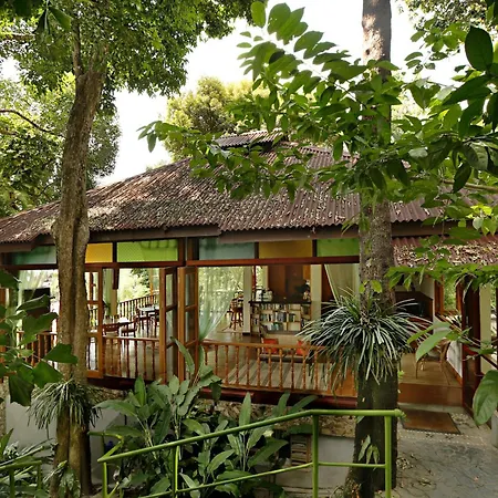 Ambong Rainforest Retreat-3