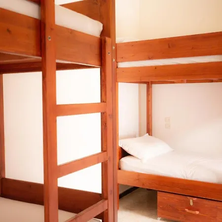 Mosaic Hostel-3