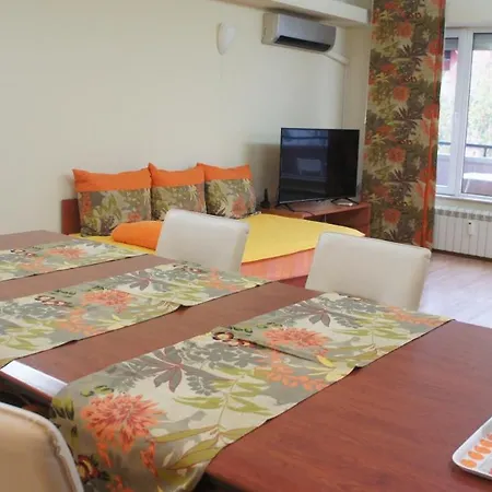 Vitosha Apartments-3