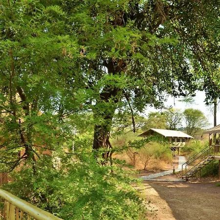 Jackalberry Chobe-3