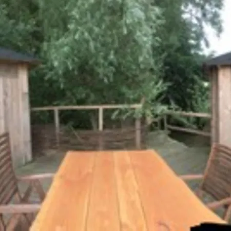 Treehouse B&B-2