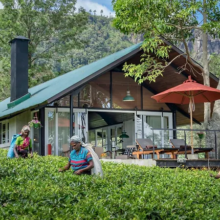 Madulkelle Tea And Eco Lodge-2