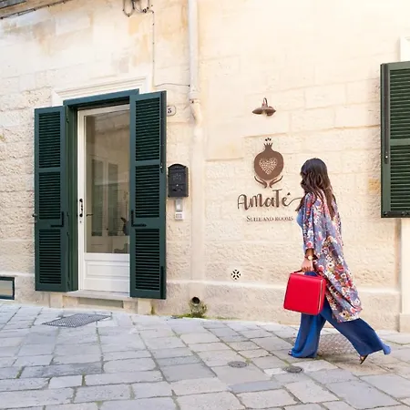 Amate Suite-3