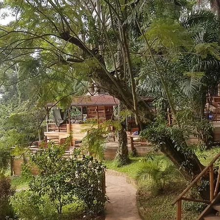 Kampala Forest Resort - Kfr Lodge-2