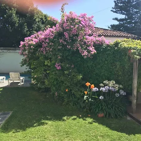 Villa Black Bnb-2