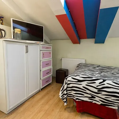 Tali Home-3