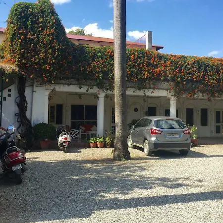 Mango Tree Courtyard Dehradun-3