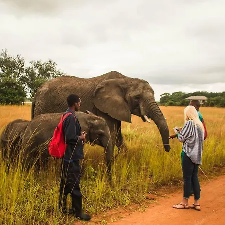 Chaminuka Lodge-2