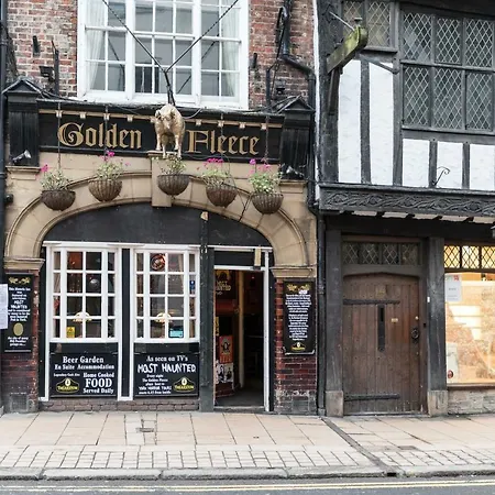 Golden Fleece York-3