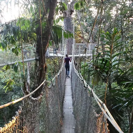 Atta Rainforest Lodge-2
