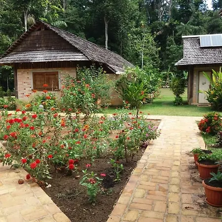 Atta Rainforest Lodge-3