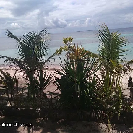 D & B Bluestar Beach Resort-3