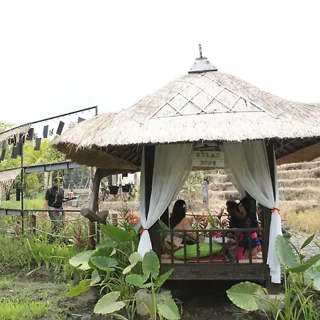 Kts Balinese Villas-2