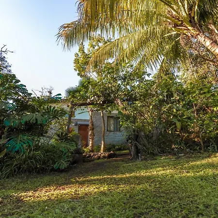 Cabana Vaenga Miro-3
