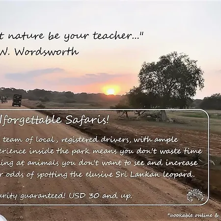 Jungle Breeze Yala By Forest Trails-3