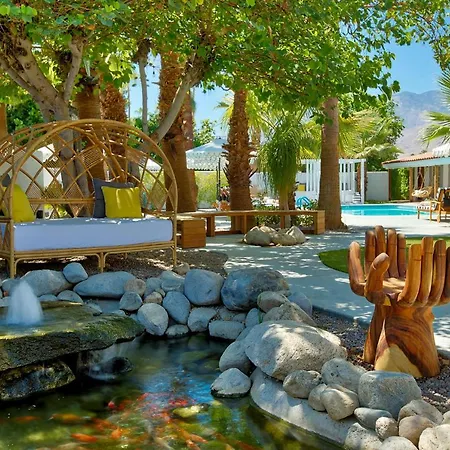 Dive Palm Springs Hotel - 21 & Over-2