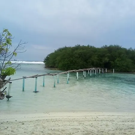 Eden Blue-3