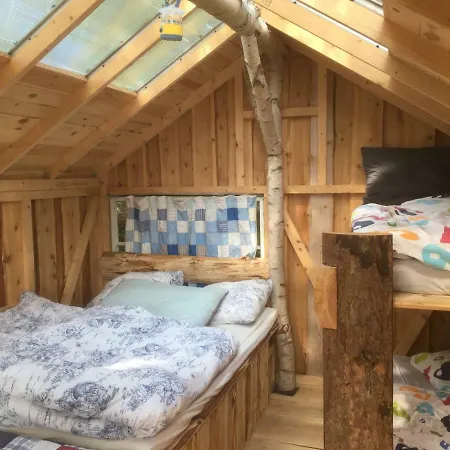 Treehouse B&B-3