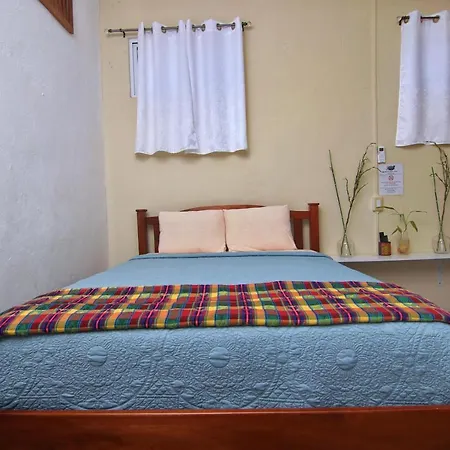 Rainforest Haven Inn-2