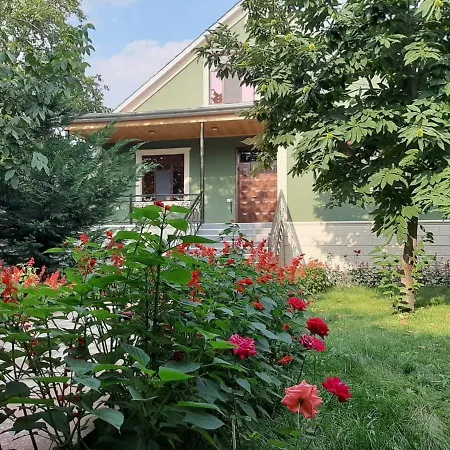 Green Villa Nizami-2