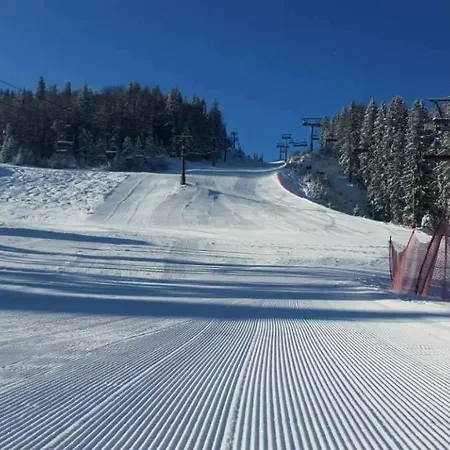 Apartment 101 - Aparthotel Vucko Jahorina Private Host-3