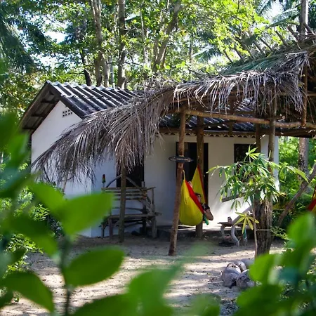 Reggae Island Private Island-3