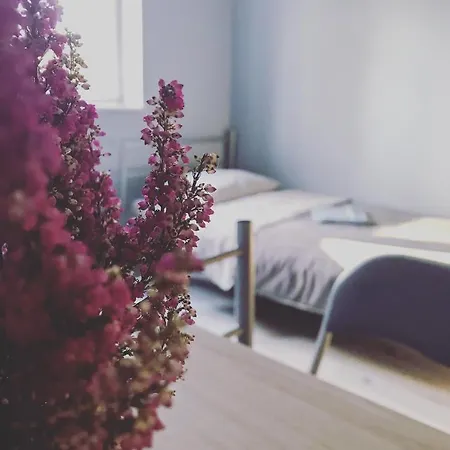Lawendowy Hostel Wroclaw-2