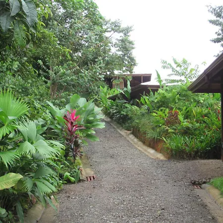 Drake Bay Greenleaf-2