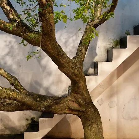 De Saram House By Geoffrey Bawa-3
