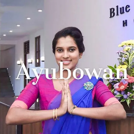 Blue Spring Hotel Wadduwa-3