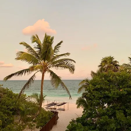 Libelula Tulum Beachfront Hotel-3