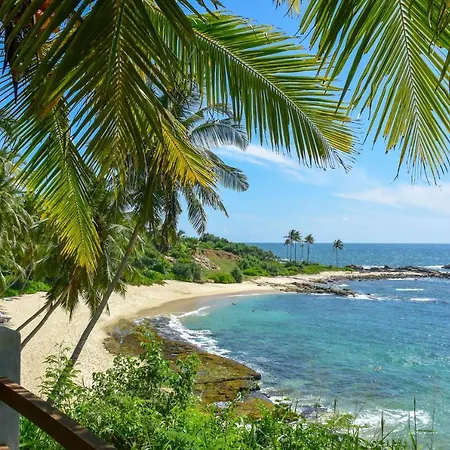 Eva Lanka Hotel - Beach & Wellness-2