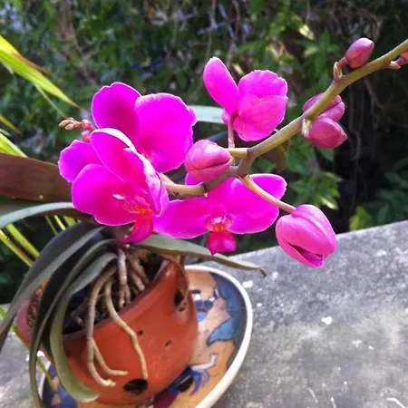 De Studio Homestay-3