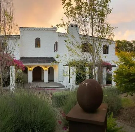 Montrose Guesthouse-3