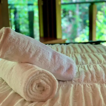 Cairns Rainforest Retreat-3